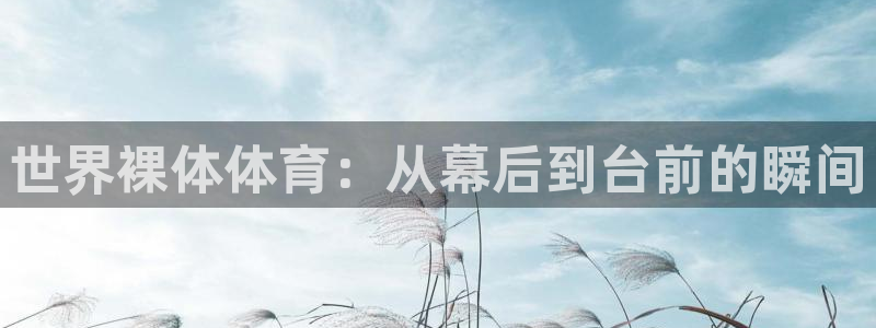 雨燕360体育免费直播nbanba