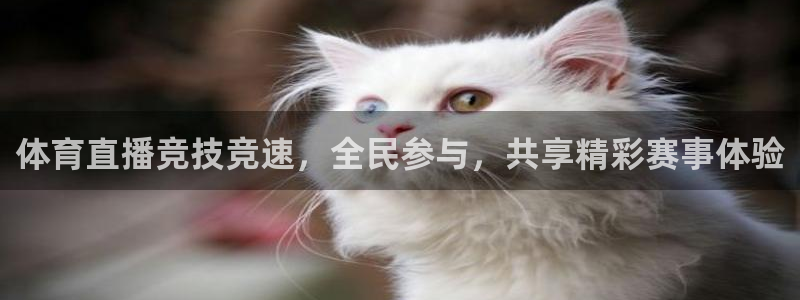 体育新闻