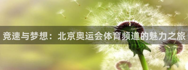 体育新闻