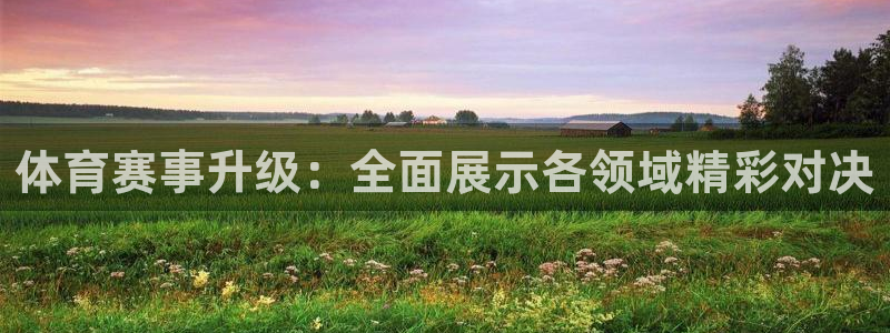 雨燕360体育直播无插件