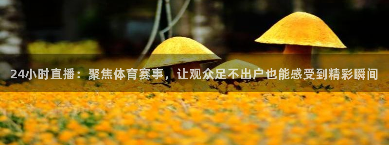 雨燕360体育免费观看