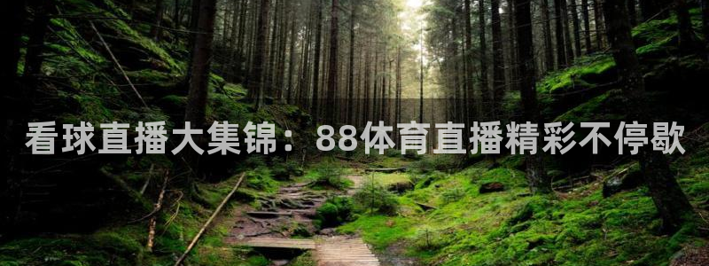 体育新闻