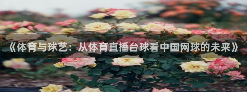 体育新闻
