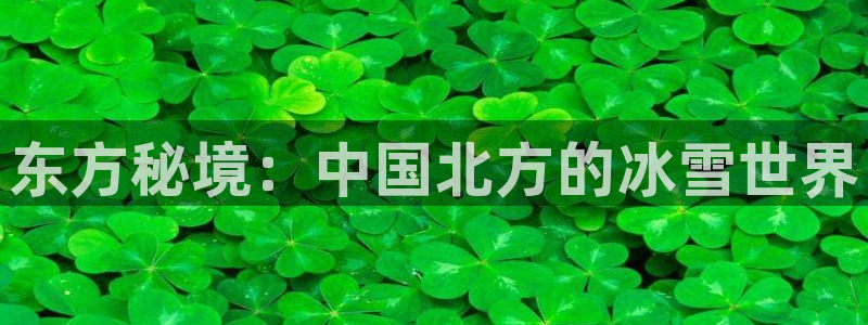 雨燕360直播免费观看nba