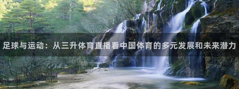 体育新闻